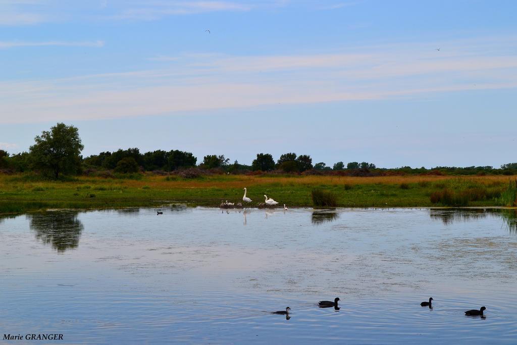 Gite Les Vents Du Large L'Aigrette Le Crotoy Kültér fotó